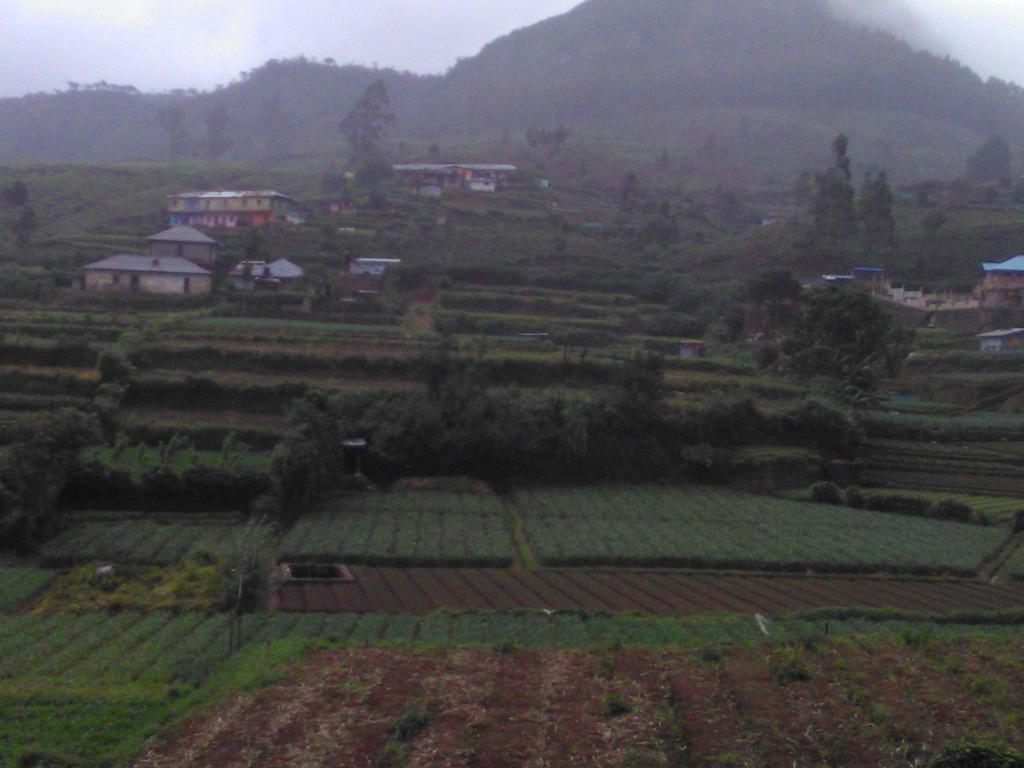 Avon Field Holiday Bungalow Nuwara Eliya Exterior foto