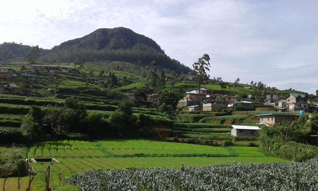 Avon Field Holiday Bungalow Nuwara Eliya Exterior foto